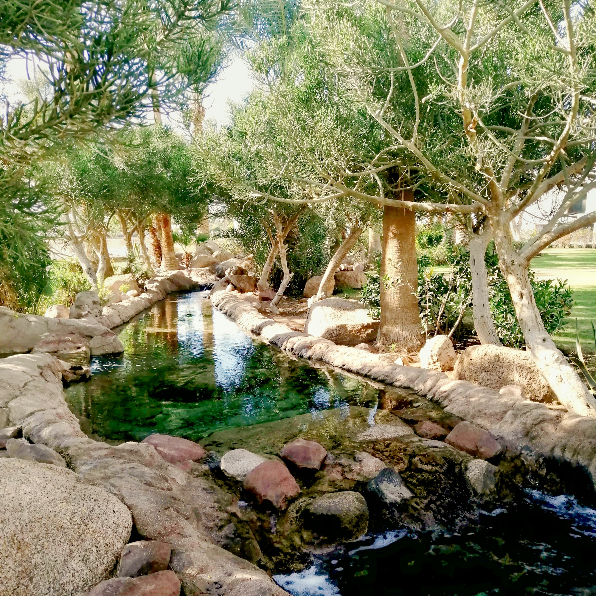 Beautiful well-kept pond on the territory of the hotel.