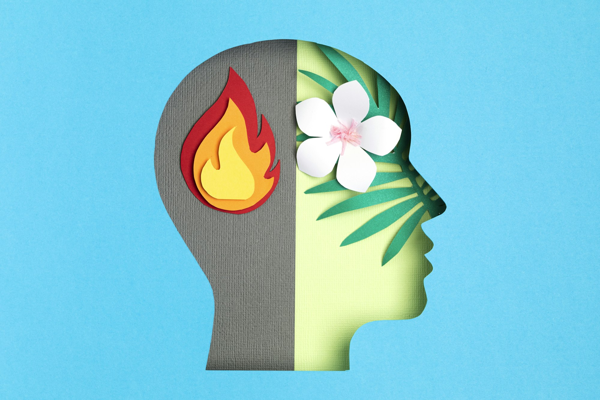 Papercut head, adult bipolar disorder concept. Mental health problems, psychology, mental illness